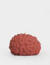 Brain Candle